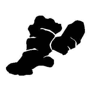 foodicon-ingwer-300x300.png