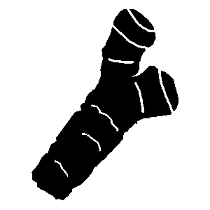 foodicon-meerrettich-300x300.png