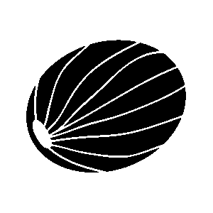 foodicon-muskatnuss-300x300.png