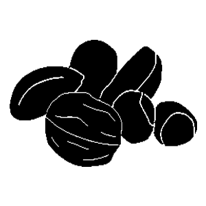 foodicon-nuesse-300x300.png